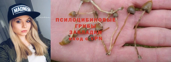 МДПВ Алексин